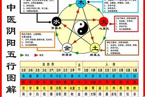 1984年五行|1984年属鼠是什么命，84年出生五行属什么